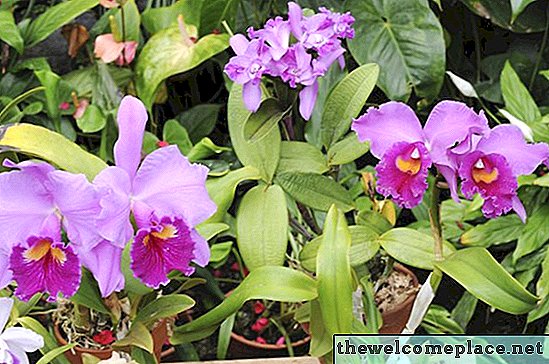 Jak si vyrobit květ orchideje
