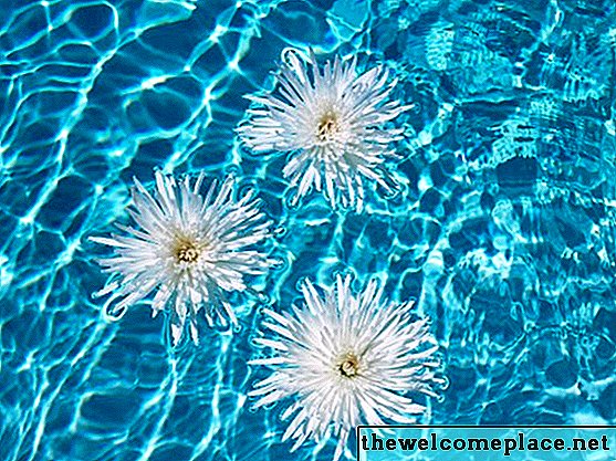 Hoe drijvende bloemen te maken voor een zwembad