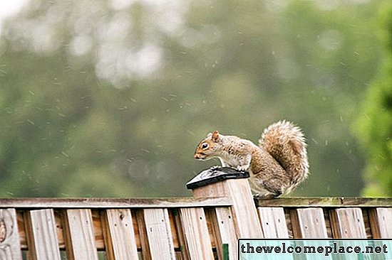 Kuidas teha omatehtud oravat tõrjuvaks