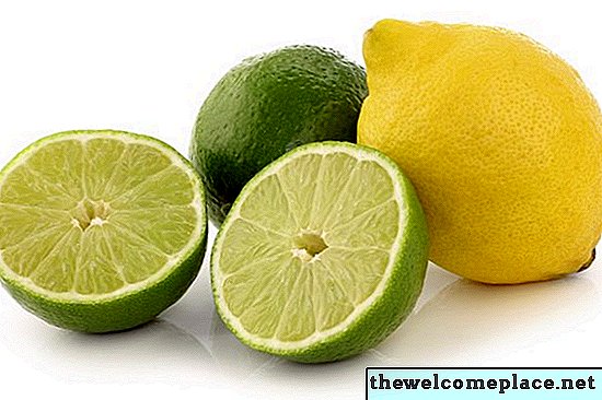 Hoe een huis ruikt naar citroenen en citrusvruchten