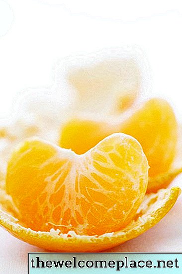 Comment faire pousser mes mandarines plus sucrées