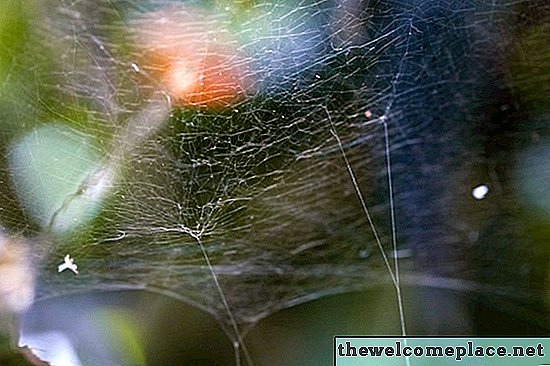 Cum să faceți repellent spider natural