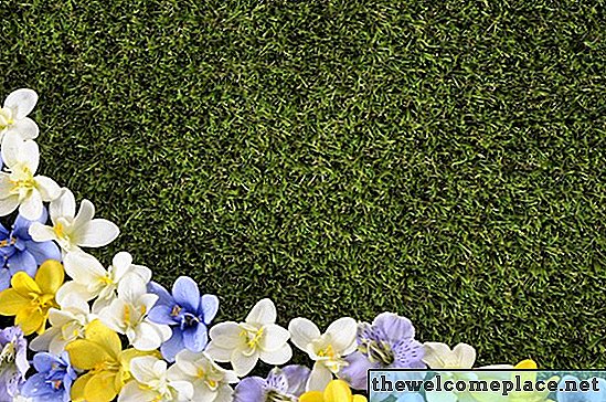 Como fazer uma borda pura entre o gramado e canteiros de flores