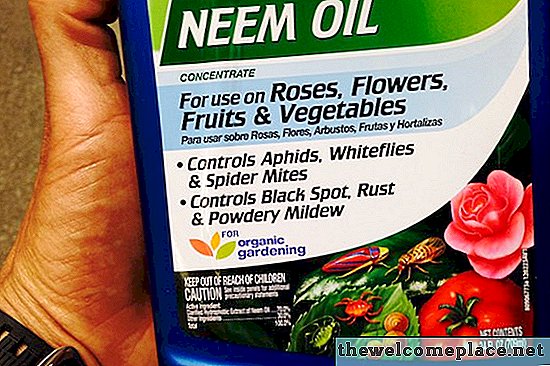 Wie man Neem-Öl-Pestizid macht
