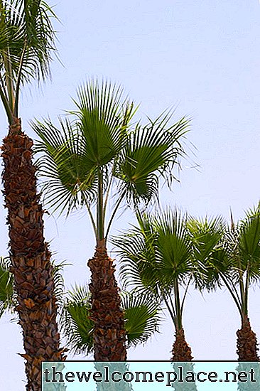 Como fazer uma palmeira suave
