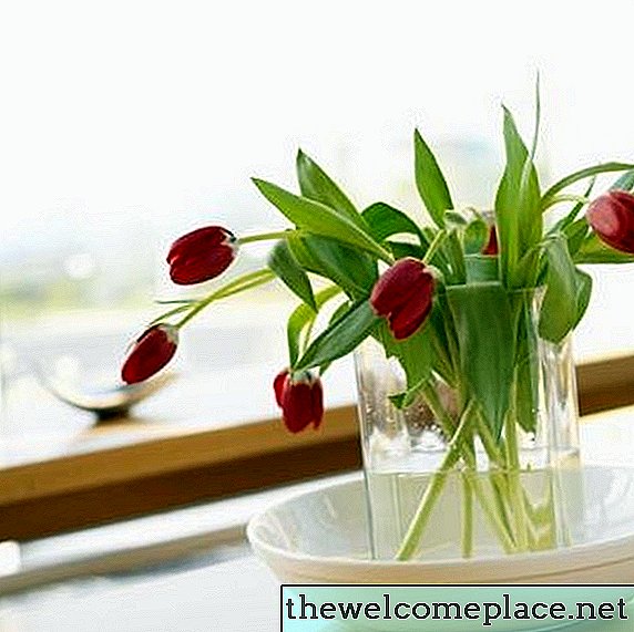 Comment faire tenir les tulipes dans le vase