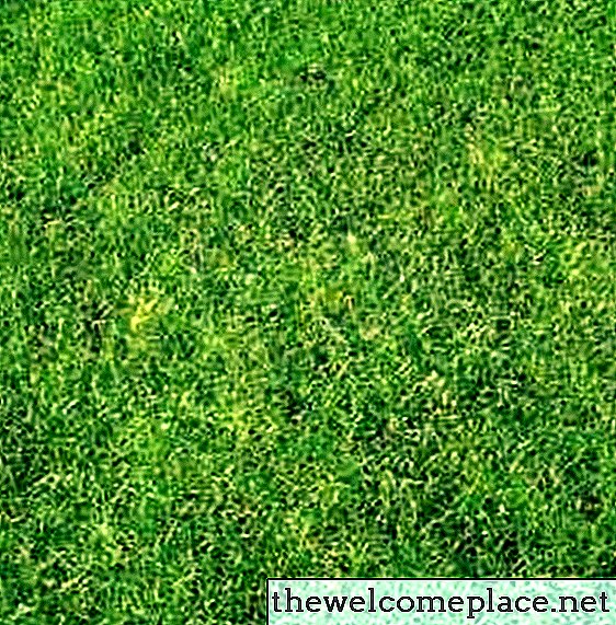 Comment rendre votre pelouse saine et verte