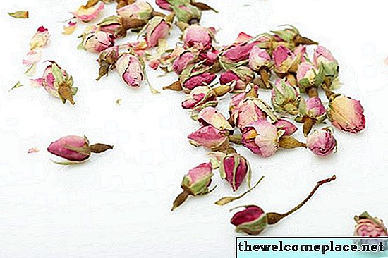 Comment faire durer vos vraies roses pour toujours