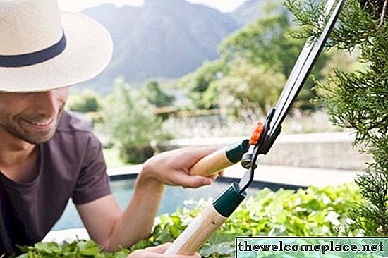 Hogyan lehet megragadni egy földgömb arborvitát