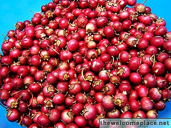 Cómo quitar una mancha de jugo de arándano