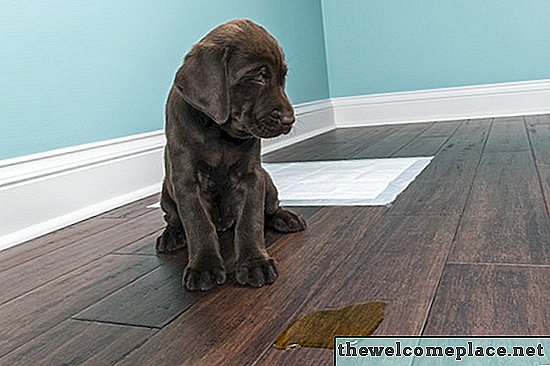 Hoe huisdierenvlekken op hardhouten vloeren te verwijderen