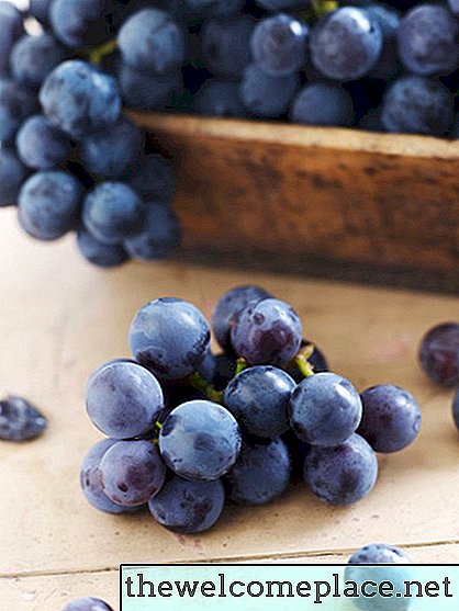 Como remover sementes de uvas Concord