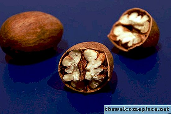 Ako odstrániť škvrny od pekanových orechov