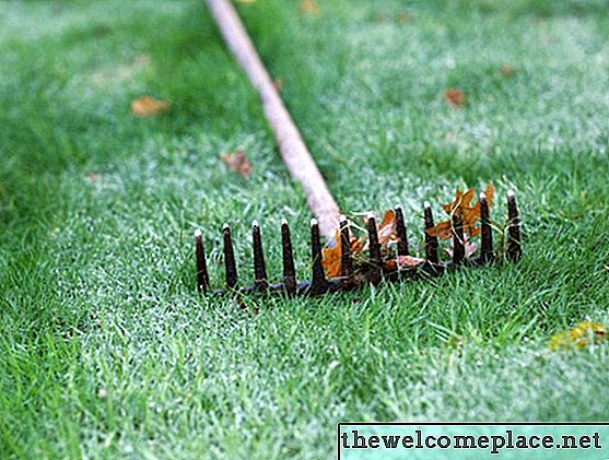 Comment réparer l'herbe de mille-pattes avec du sable