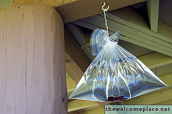 Cómo repeler insectos con centavos, agua y bolsas de plástico