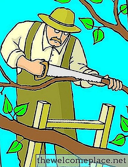 Kaip sutaupyti pinigų aukštų medžių apipjaustymas