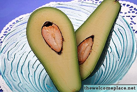 Hoe avocado's te verzenden