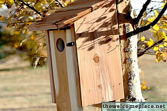 Bagaimana Sparrow-Proof Rumah Bluebird