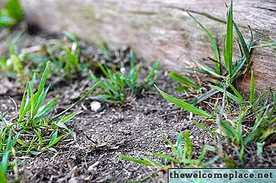 So verhindern Sie, dass Gras und Unkraut in der Nähe eines Zauns wachsen