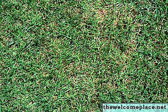 Како се бринути о тепиху траве