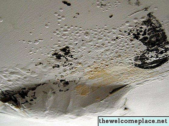 Jak zjistit věk vodní skvrny na stropě