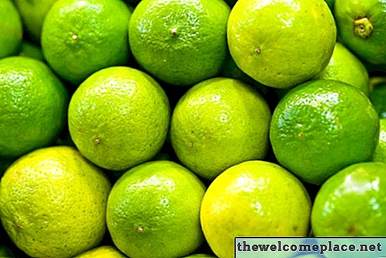 Comment savoir si les limes sont mûres
