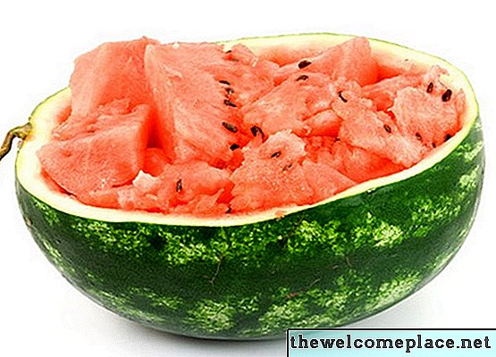 Hoe weet ik of een watermeloen klaar is om te eten?