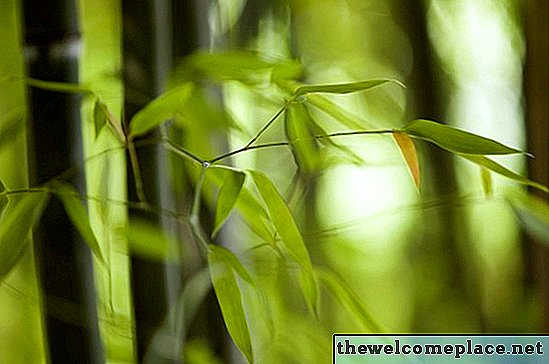 Cómo tratar las encimeras de bambú