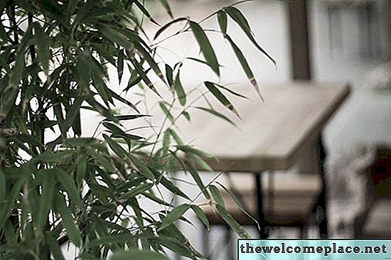 Wie man rohen Bambus für die Herstellung von Möbeln behandelt