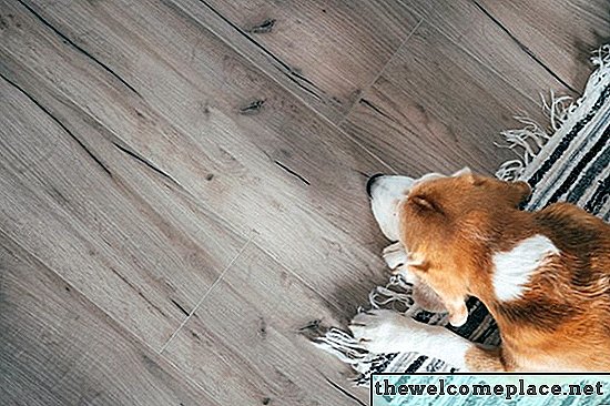 Kaip prieš klojant naujas grindis padengti naminių gyvūnėlių kvapą ir dėmes