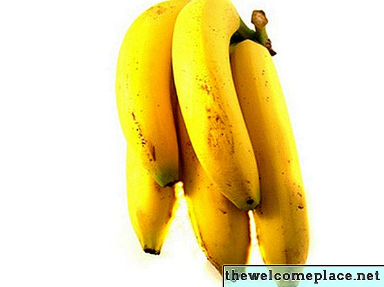 Como usar uma casca de banana como alimento de planta