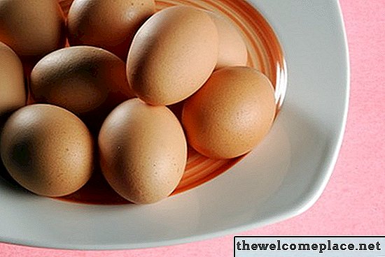 Come usare i gusci d'uovo sulle piante di pomodoro