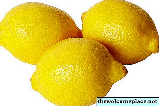 Jak používat citron jako odpuzující hmyz