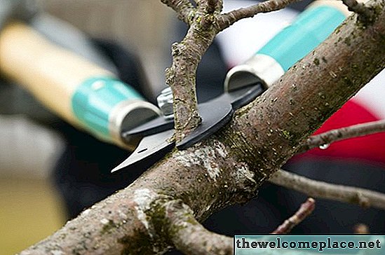 Cara Bungkus Bundle of Tree Limbs