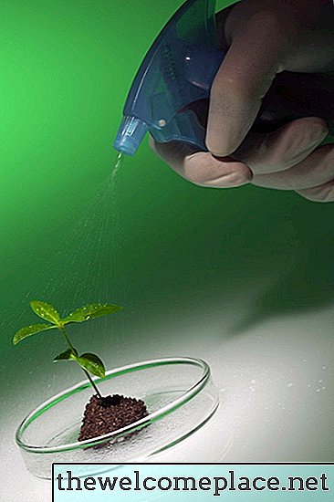 بيروكسيد الهيدروجين لتعزيز نمو النبات
