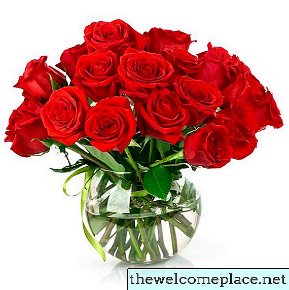 Information om typer roseblade