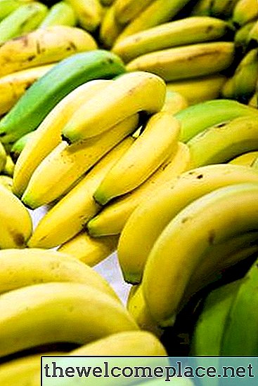 Is een bananenplant een kruid, struik of boom?