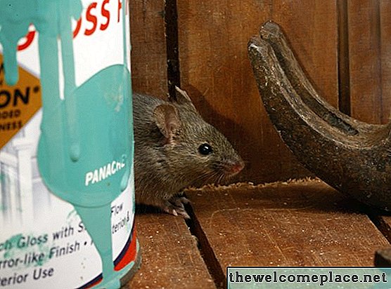 Да ли је стаклопластика одбојна за мишеве?