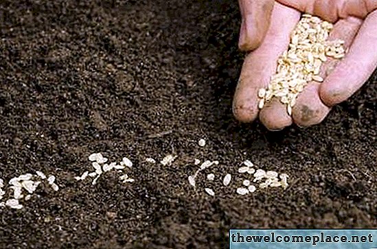 Sorolja fel a talajban található baktériumok néhány típusát