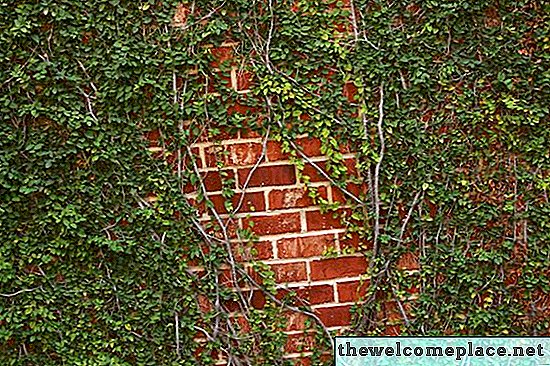 Moisissure ou champignons sur les murs de briques intérieurs