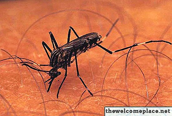 Bahan alami untuk dimasukkan ke dalam air mancur luar ruangan untuk mengusir nyamuk