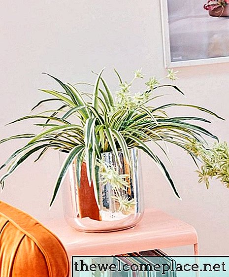 Não é bom com plantas? 10 maneiras alternativas de adicionar um pouco de vegetação ao seu espaço interno