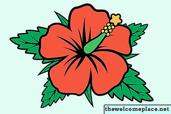 Teile der Gumamela-Blume
