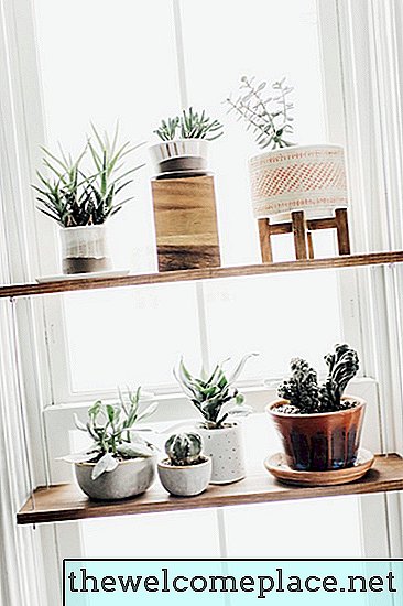 Predikce: Budete milovat těchto 6 nápadů na kuchyňské okno naplněné rostlinami stejně jako my
