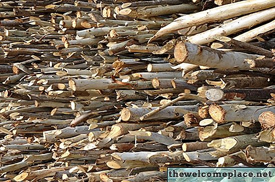 Probleme cu lemn de foc de eucalipt