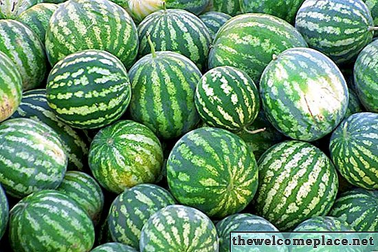 Årsaken til myke vannmeloner