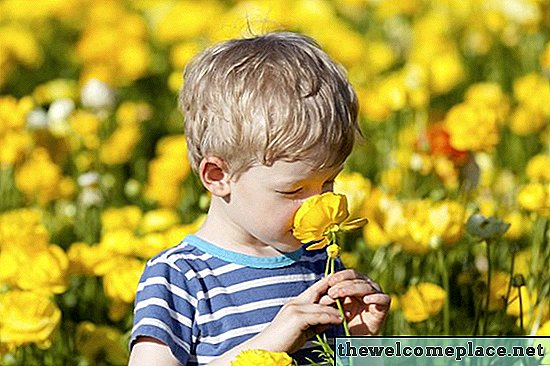 Säkra blommor för barn