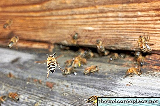 Jednoduchý domácí prostředek, jak se zbavit včel