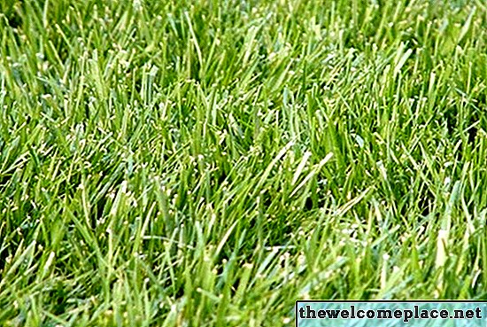 Problèmes de peau causés par l'engrais pour pelouse