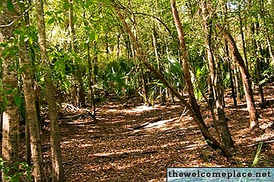 Bodentypen in Florida